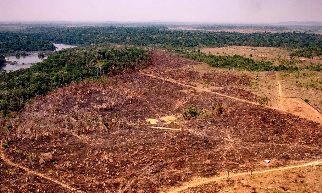 Destruction de la forêt Amazonienne